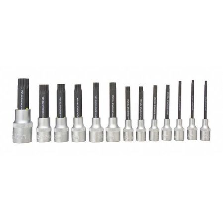 Bondhus Star Tip Socket Bit Set, Torx, 13 pcs 44037