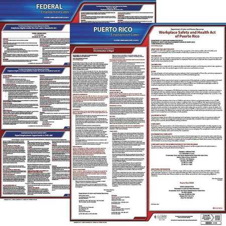 JJ KELLER LaborLaw Poster, Fed/STA, PR, ENG, 20inH, 3yr 100-PR-3