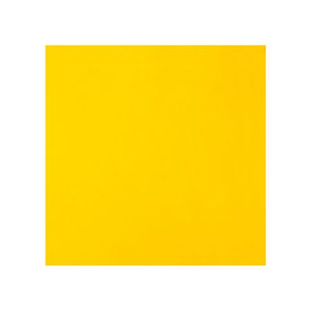 Steiner Welding Screen, 10 ft. W, 6 ft., Yellow 534-6X10