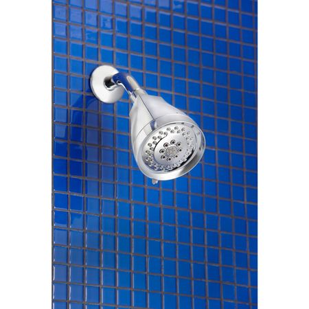 Danze wall, Shower Head, Chrome, Wall D460030