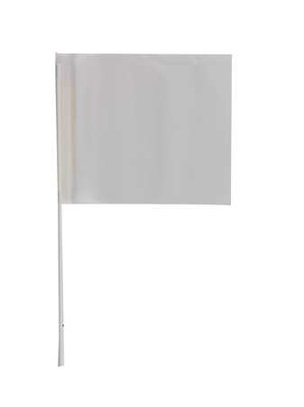 PRESCO Marking Flag, Clear, Blank, PVC, PK100 F4524CLR-200