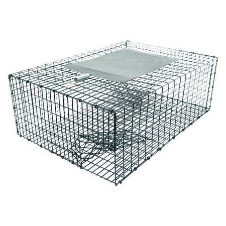 KNESS PEST DEFENSE Bird Trap, 17-1/4 in. L, 12-1/4 in. W 161-0-006