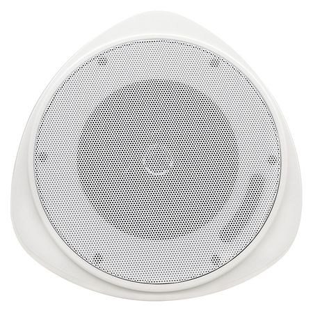 SPECO TECHNOLOGIES Speaker, Pendant, White, 5 In, 10 W SP30PT