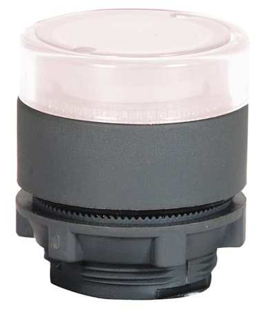DAYTON Illuminated Push Button Operator, 22 mm, White 30G123