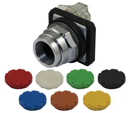 DAYTON Non-Illuminated Push Button, 30 mm, 1NO/1NC, Universal 30G447