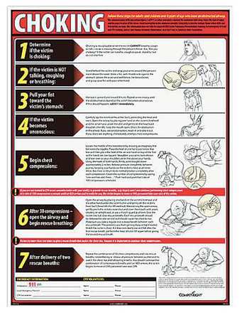 COMPLYRIGHT Choking Poster, English WR0236