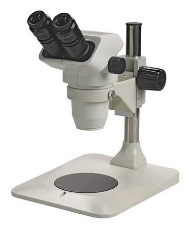 ACCU-SCOPE Microscope, 9-13/32in.H, 12-1/2in.L 3075-PS