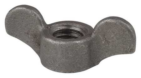 Zoro Select Wing Nut, 3/4"-6, Ductile Iron, Plain, 1.125 in Ht, 9-1/2 in Max Wing Span, 2 PK WGNGDI346