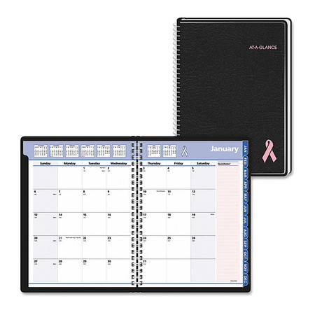 AT-A-GLANCE Planner, Qknts, Mnth, 8x11, Bca 76PN0605
