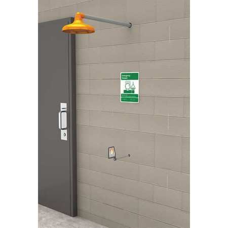 GUARDIAN EQUIPMENT Frze-restnt Emergency Shower GFR1205