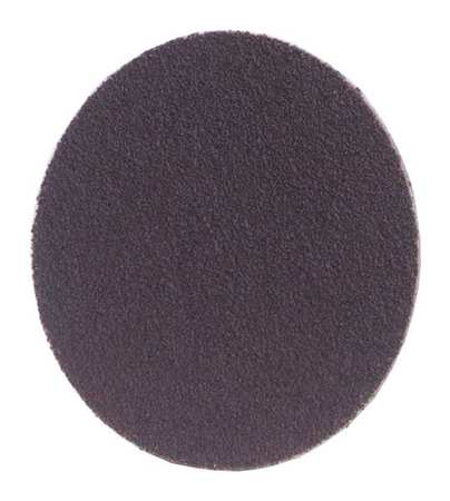 NORTON ABRASIVES Sanding Disc, 16in. dia., Coarse, 36Grit 66261136700