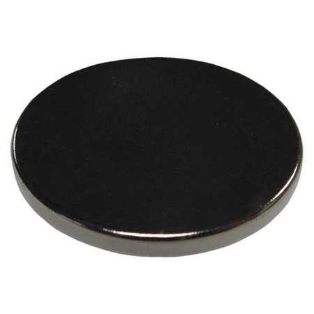 Storch Products Disc Magnet, Neodymium, 12 lb. Pull B002-6015-035N