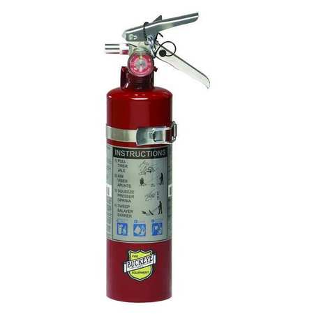 Buckeye Fire Equipment Fire Extinguisher, Class ABC, UL Rating 1A:10B:C, Rechargeable, 2.5 lb capacity, 15 ft Range 13315