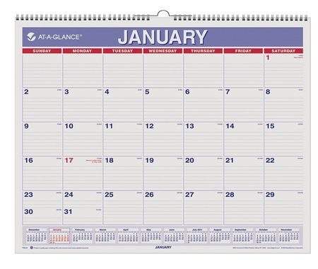 AT-A-GLANCE 15 x 12" Monthly Wall Calendar, Red/Blue AAGPM828
