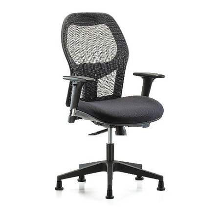 BLUE RIDGE ERGONOMICS Mesh Desk Chair, 19" to 23", Adjustable Arms BR-EXE-MDHCH-RG-H0-A1-RG