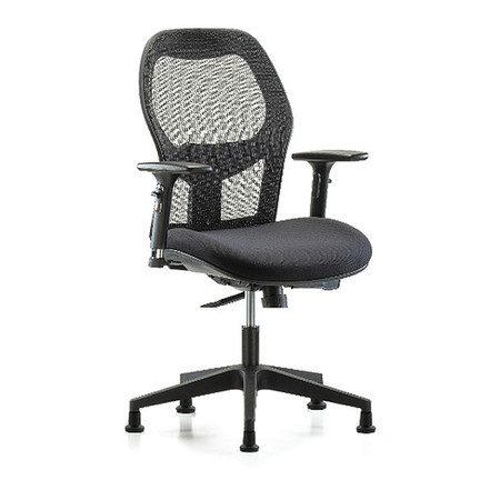 BLUE RIDGE ERGONOMICS Mesh Desk Chair, 19" to 23", Adjustable Arms BR-EXE-MDHCH-RG-H0-A2-RG
