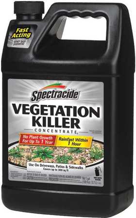 Spectracide Vegetation Killer, 1 gal. 96268
