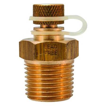 WINTERS Test Plug, 1/2in NPT, 0 to 1000 psi, Brass STP002LF