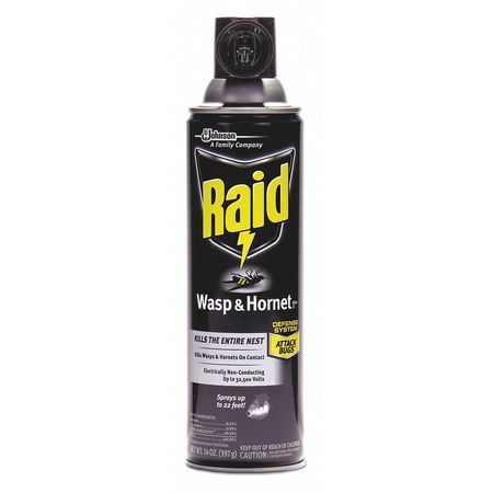 Raid Wasp Hornet Killer, 14 oz. Aerosol, PK12 668006