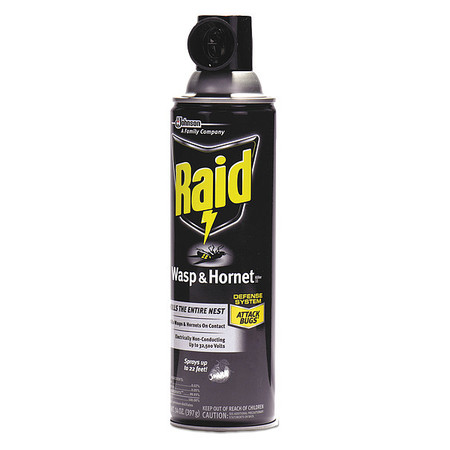 Raid Wasp Hornet Killer, 14 oz. Aerosol, PK12 668006