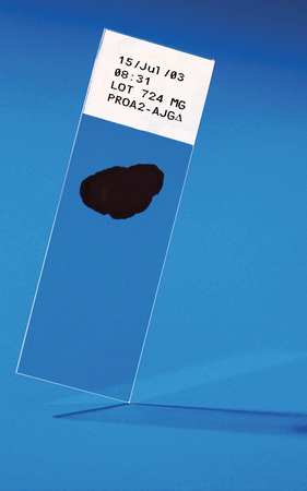 Zoro Select Equipment Status Tag, 3 x 5-3/4 In, PK100 9PV32