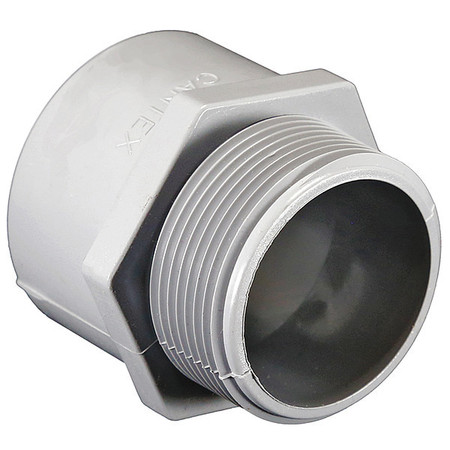 Cantex Male Adapter, 1-1/2 In Conduit, PVC 5140107