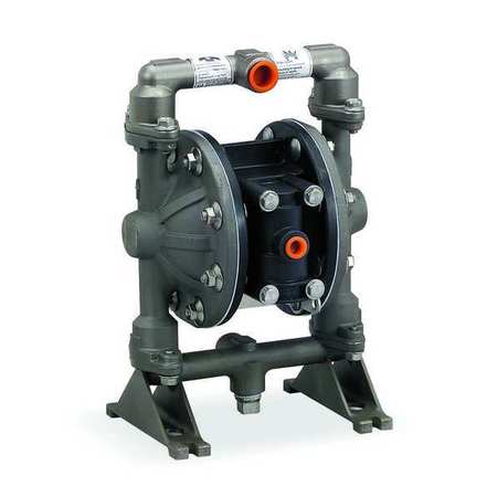 ARO Double Diaphragm Pump, Stainless steel, Air Operated, PTFE, 12 GPM PD05R-ASS-STT-B