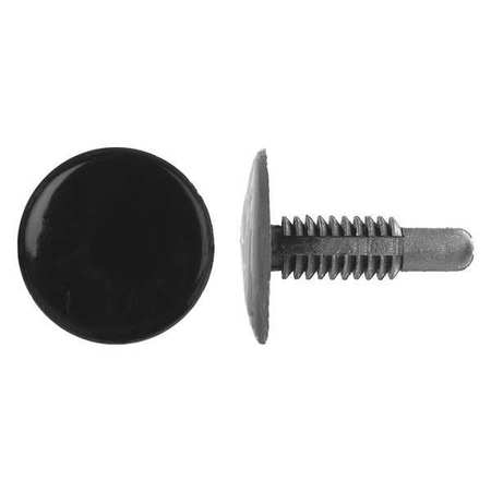 Zoro Select Push-In Rivet, Dome Head, 1/4 in Dia., 1 3/32 in L, Nylon Body, 50 PK 5627PK