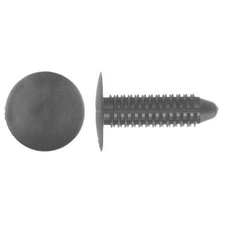 ZORO SELECT Push-In Rivet, Dome Head, 0.313 in Dia., 1-1/16 in L, Nylon Body, 25 PK 8862BPK