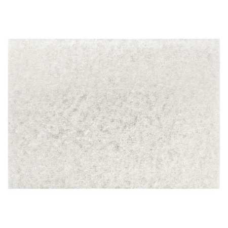 TOUGH GUY Buff Pad, White, Size 12" x 18", PK20 402W59