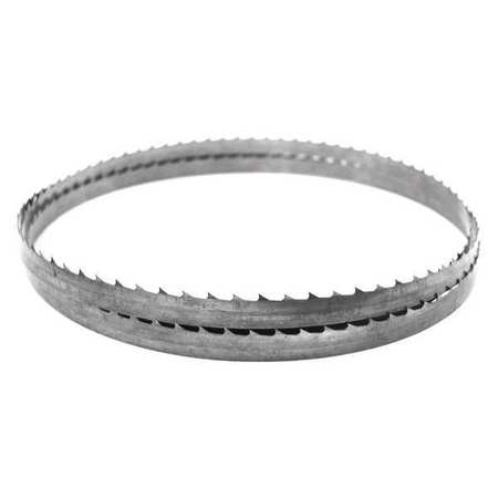 CENTURY DRILL & TOOL 5 ft. 4-1/2" L, Band Saw Blade 15605