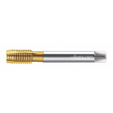 WALTER Pipe Tap, 1/2"-14, Taper, 4 Flutes, G P2436005-G1/2