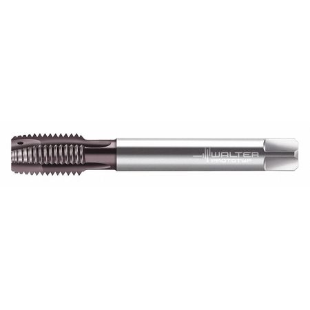 WALTER Spiral Point Tap Taper, 4 Flutes EP2026342-M12