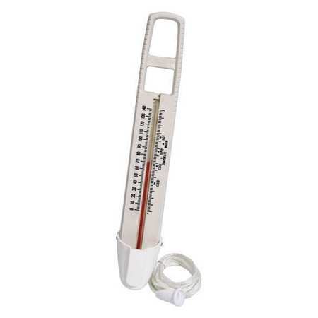 TAYLOR Pool Thermometer 5622J