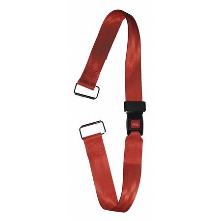 DICK MEDICAL SUPPLY Strap, Orange, 5 ft. L x 2-1/2" W x 3" H 11652 OR