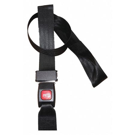 DICK MEDICAL SUPPLY Strap, Black, 5 ft. L x 2-1/2" W x 3" H 61152 BK