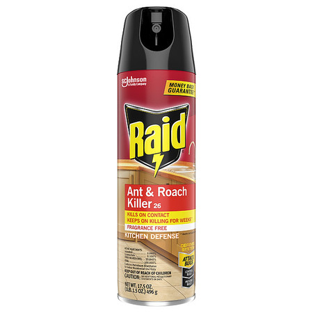 Raid Insect Killer, Roaches and Ants 365961