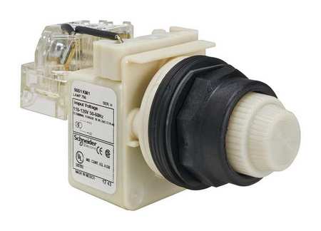 SCHNEIDER ELECTRIC Push to Test Pilot Light, White, Incand 9001SKT1W31