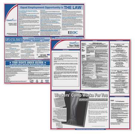 COMPLYRIGHT Labor Law Poster Kit, CA, English, 2-1/2inW EFEDSTCRPSECCA