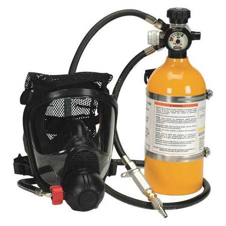 MSA SAFETY Supplied Air Respirator, Full Facepiece 10108496