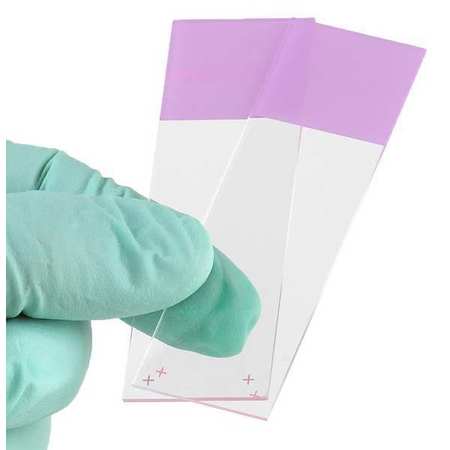 GLOBE SCIENTIFIC Microscope Slide, Lilac, 25x75mm, PK72 1358L