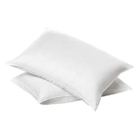 Basics Pillow, 26 in. L, Standard, 20 oz., PK12 5013812