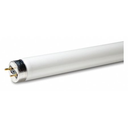 Lumapro Fluorescent Lamp, T8, 48In. L, 32W, 5000K 48GP57