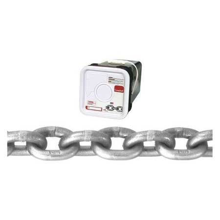 CAMPBELL CHAIN & FITTINGS 1/4" Grade 43 High Test Chain, Bright, 100' per Square Pail T0184416