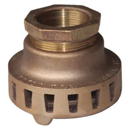 EDSON Suction Strainer, 1-1/2 in. NPT, Bronze 11115