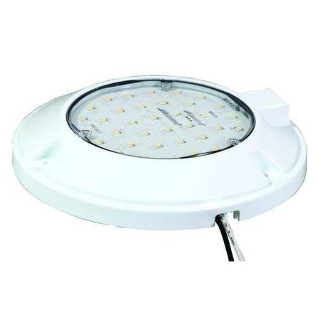 MAXXIMA Dome Lamp, Clear, 6-1/2" H, 36 Bulbs M84435-A
