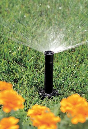 Rain Bird Spray Head for Shrubs, Plastic SP25H18