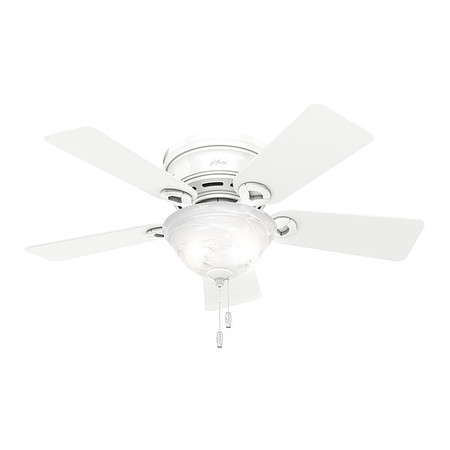 HUNTER Decorative Ceiling Fan, 42" Blade Dia., 1 Phase, 120 51022