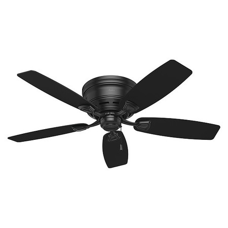 HUNTER Indoor/Outdoor Ceiling Fan, 48" Blade Dia., 1 Phase, 120 53118