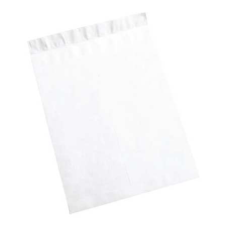 TYVEK Tyvek® Flat Envelopes, 18" x 23", White, 100/Case TYF1823WS